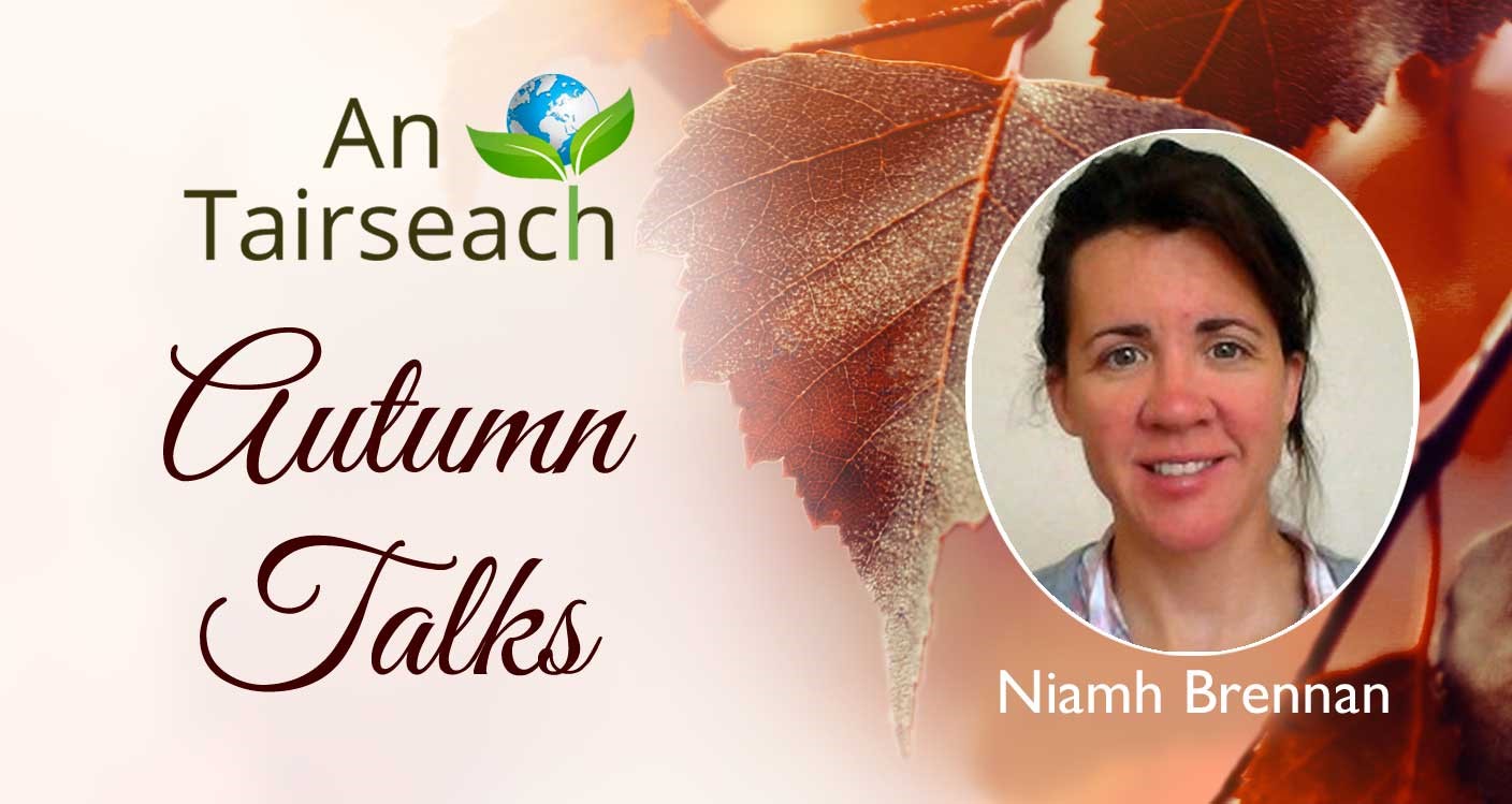 Cosmology with Niamh Brennan