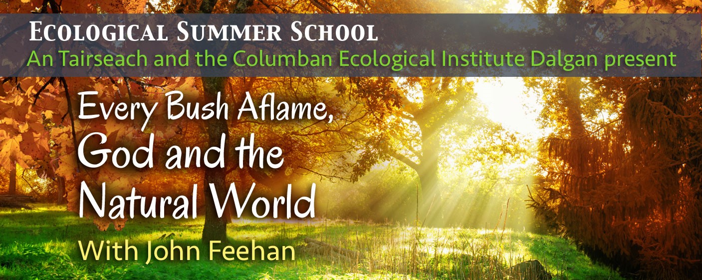 John Feehan's Ecological Summer School:  