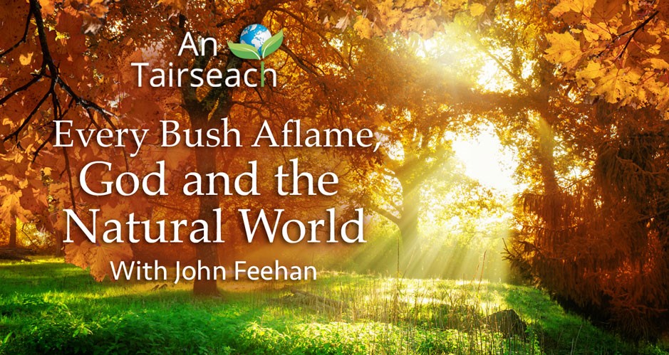 Autumn Programme 2021 - John Feehan