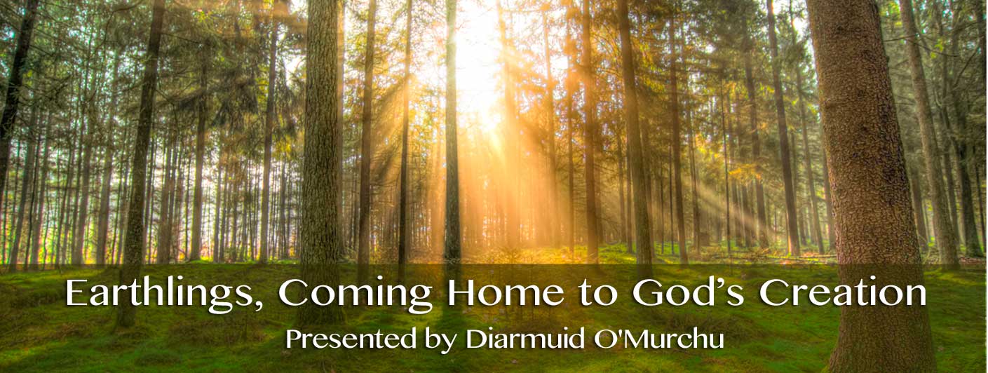 Earthlings, Coming Home to God's Creation with Diarmuid O'Murchu