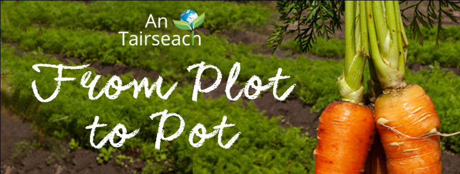 Plot to pot – grow, preserve, eat. Gardening & Preserving for Beginners with Moira Byrne 
