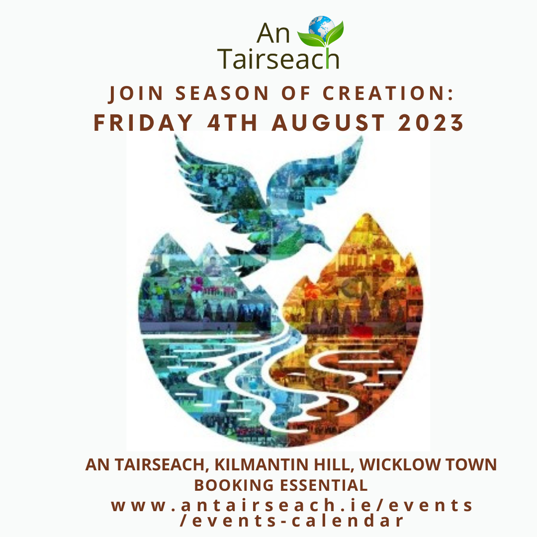 One Day Event Celebrating the Season of Creation with Anne Curtis RSM & Colette Kane OP 