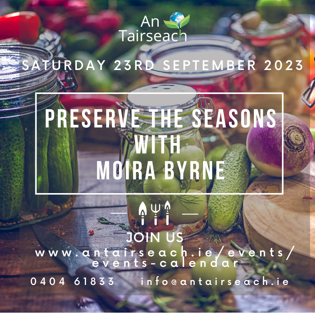 Preserve the Seasons with Moira Byrne 