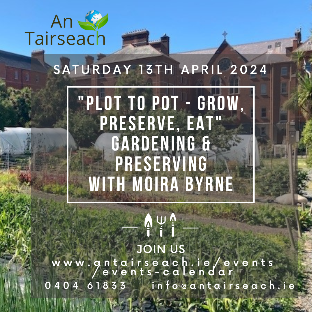 Plot to Pot Series – Grow, Preserve, Eat. Gardening & Preserving with Moira Byrne 