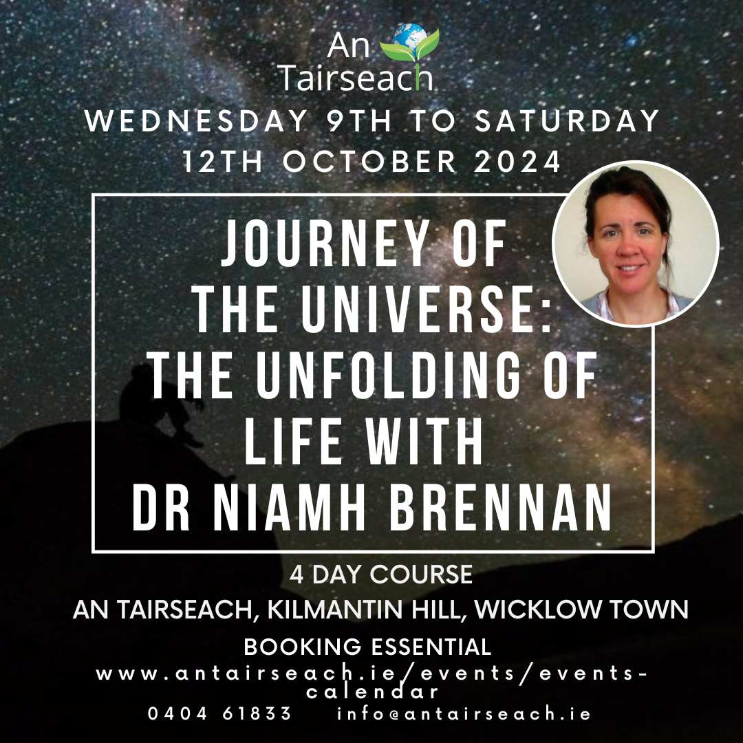 Journey of the Universe with Niamh Brennan