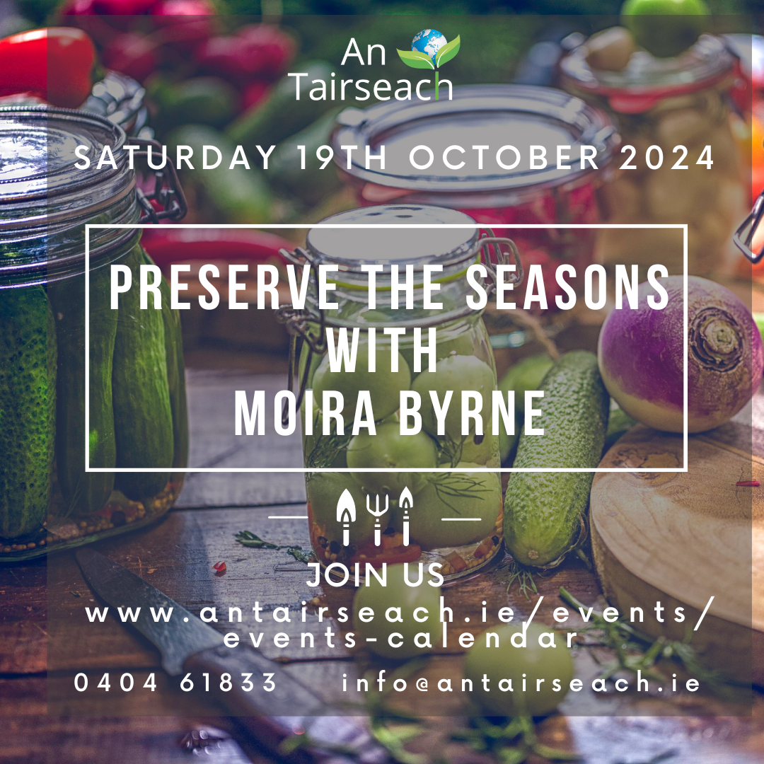 Preserve the Seasons with Moira Byrne 