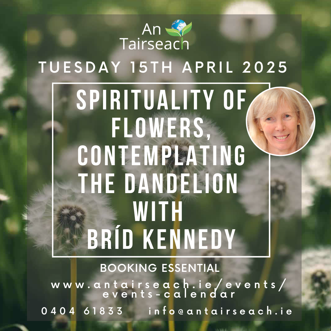 Sprituality of Flowers: Contemplating the Dandelion with Bríd Kennedy 