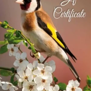 An Tairseach Gift Voucher