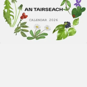 An Tairseach 2026 Calendar